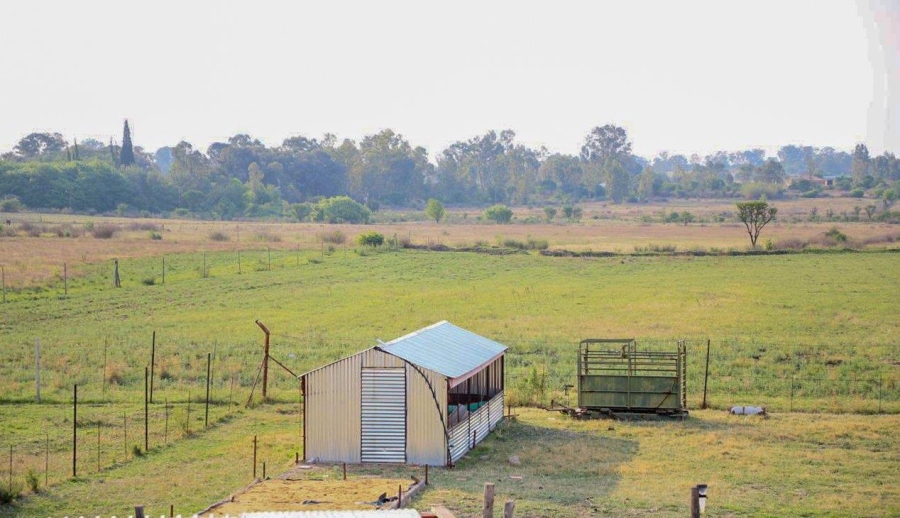 6 Bedroom Property for Sale in Koppies Rural Free State